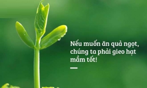 Ý nghĩa cội rễ của Luật Nhân Quả