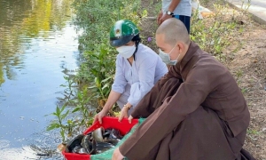 Chùa Như Thành tổ chức phóng sanh rằm Thượng Nguyên