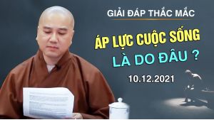 Áp Lực Cuộc Sống Là Do Đâu ?