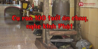 Chuyện kỳ bí miền Tây: Cụ rùa 100 tuổi ăn chay, nghe kinh Phật