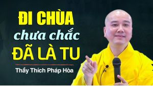 ĐI CHÙA chưa chắc ĐÃ LÀ TU