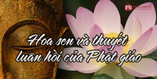 Hoa sen và thuyết luân hồi của Phật giáo