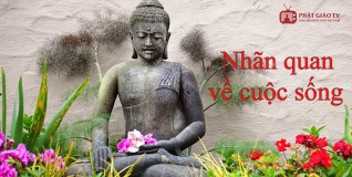 Nhãn quan về cuộc sống