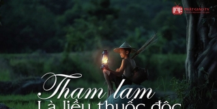 Tham lam là liều thuốc độc