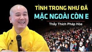 Tình trong như đã, mặc ngoài còn e