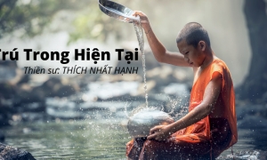 Hãy là người quan sát