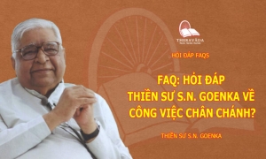 Hỏi đáp thiền sư S.N. Goenka về công việc chân chánh?