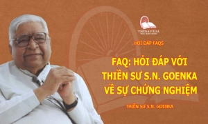 Hỏi đáp với thiền sư S.N. Goenka về sự chứng nghiệm