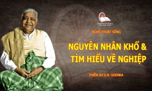 Nghệ thuật sống – Nguyên nhân khổ & tìm hiểu về nghiệp