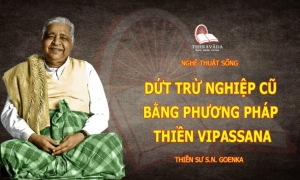 Dứt trừ nghiệp cũ bằng phương pháp thiền Vipassana