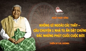 Không gì ngoài cái thấy – Câu chuyện 1 nhà tu ẩn dật chứng đắc những phút cuối cuộc đời