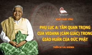 Tầm quan trọng của vedana (cảm giác) trong giáo huấn của đức Phật