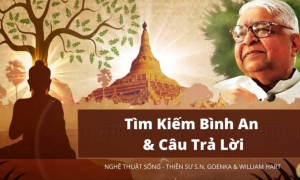 Nghệ thuật sống: Tìm kiếm bình an và câu trả lời