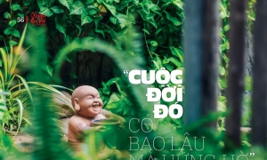 “Cuộc đời đó có bao lâu mà hững hờ”