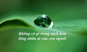 101 câu chuyện thiền: Không có lòng nhân