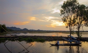 Ngũ đăng hội nguyên – Như trâu kéo xe