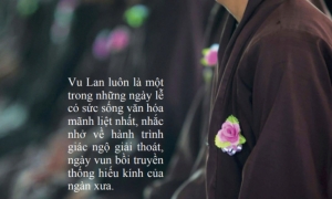 Những ân tình trong đời