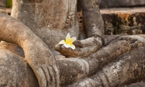 Sống chánh niệm, đời an lạc