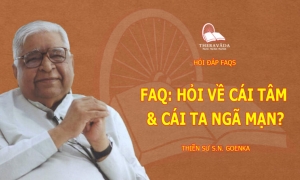 Hỏi về cái tâm và cái ta ngã mạn?