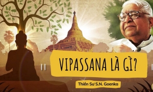 Nghệ thuật sống: Thiền Vipassana